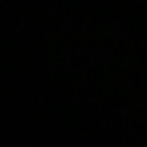 Meet your Posher, Chewy